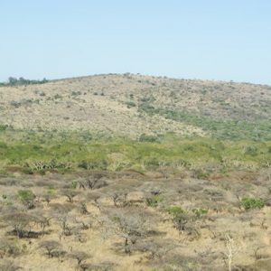 Farms for sale